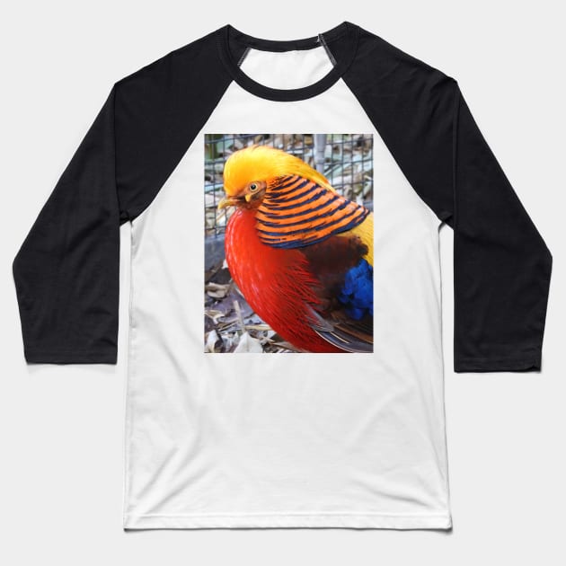 Golden Pheasant Baseball T-Shirt by kirstybush